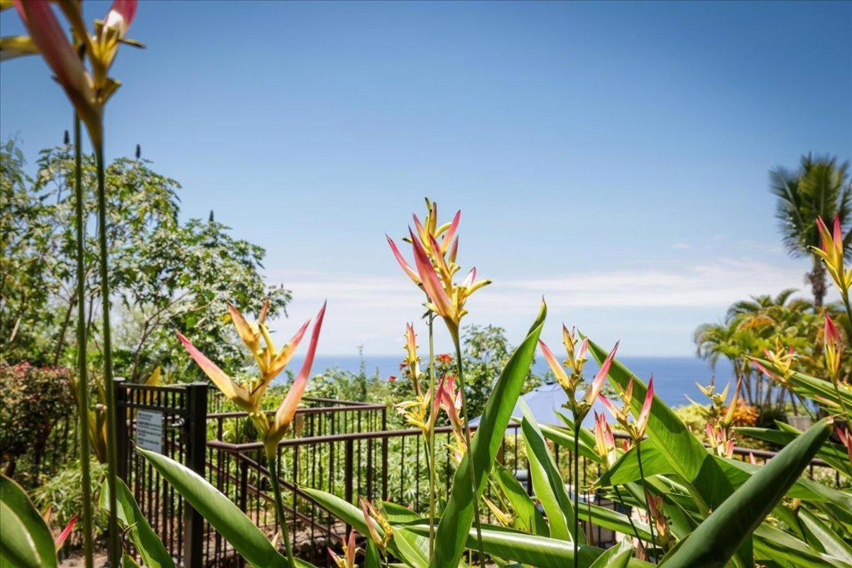 Villa Kona Westwind 1 New! Quiet Ocean-View 1St Floor | Patio | Pool Kailua-Kona Exterior foto