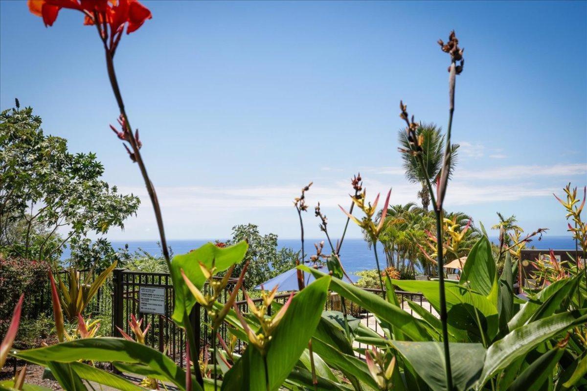 Villa Kona Westwind 1 New! Quiet Ocean-View 1St Floor | Patio | Pool Kailua-Kona Exterior foto